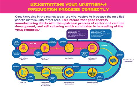 lv gene therapy manufacturing|lvs production.